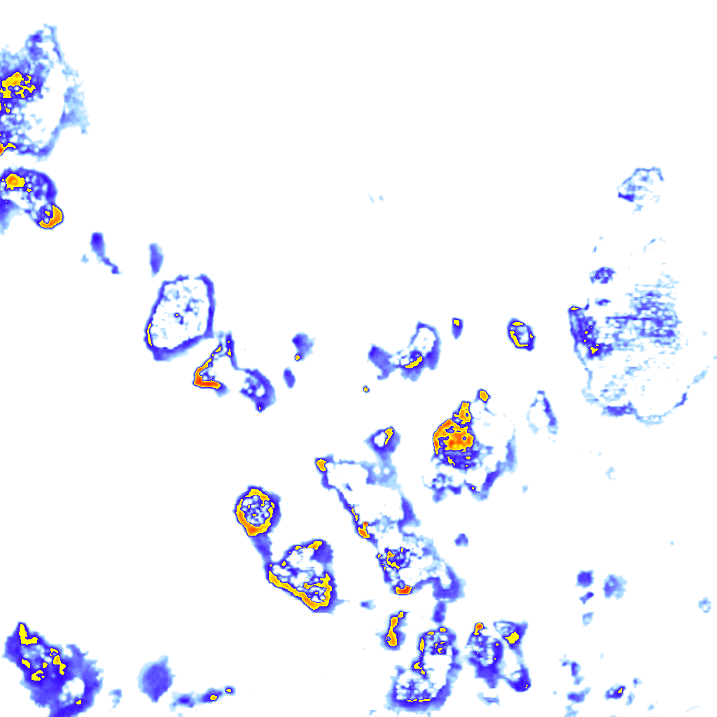 Image Layer