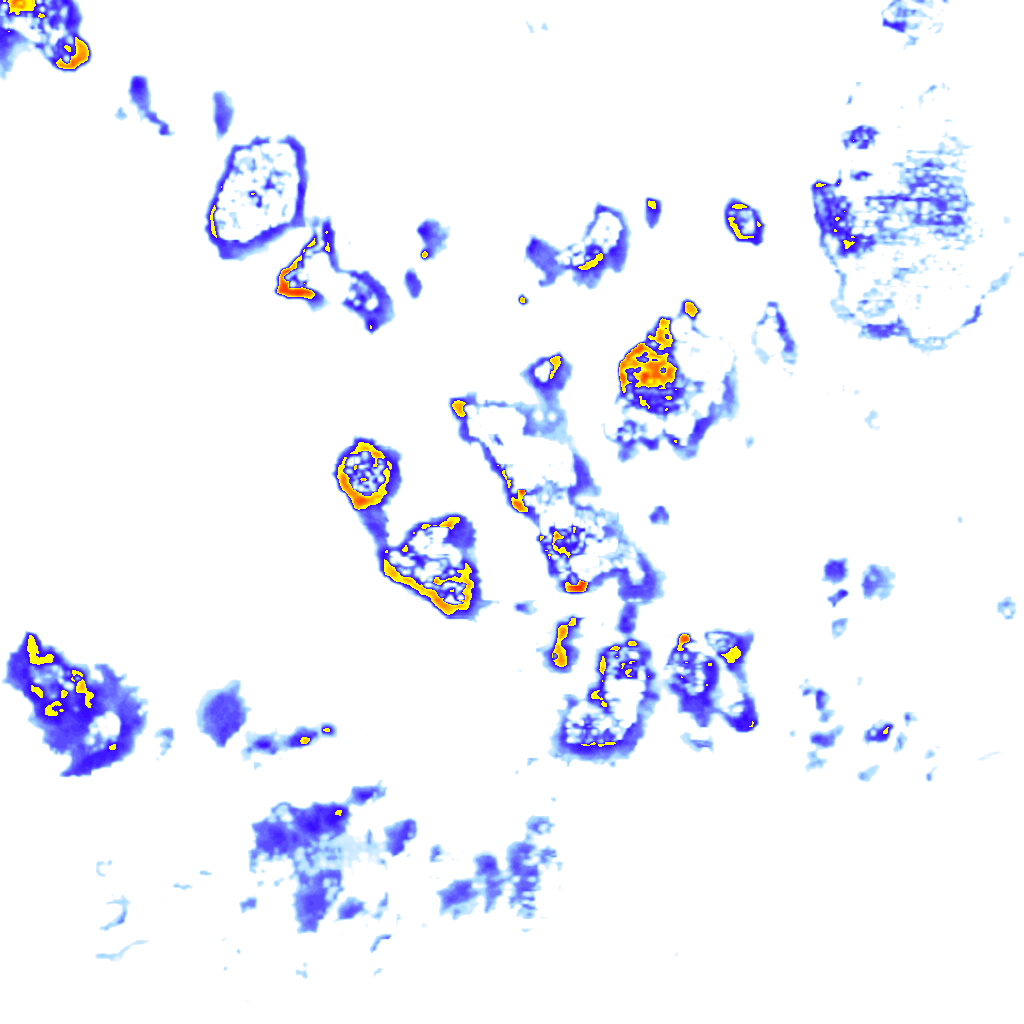Image Layer