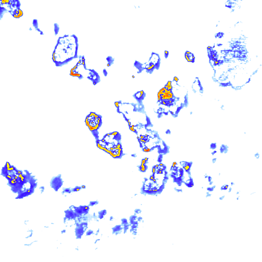 Image Layer