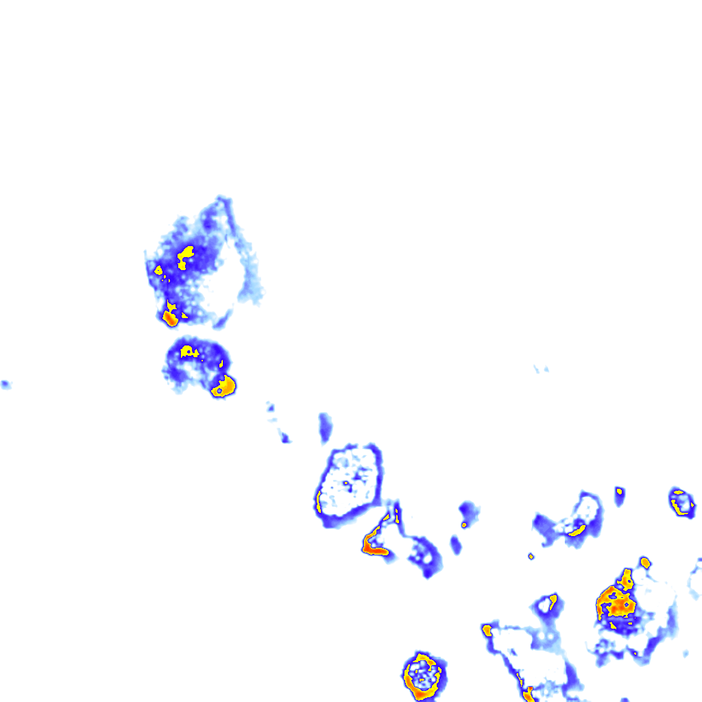 Image Layer