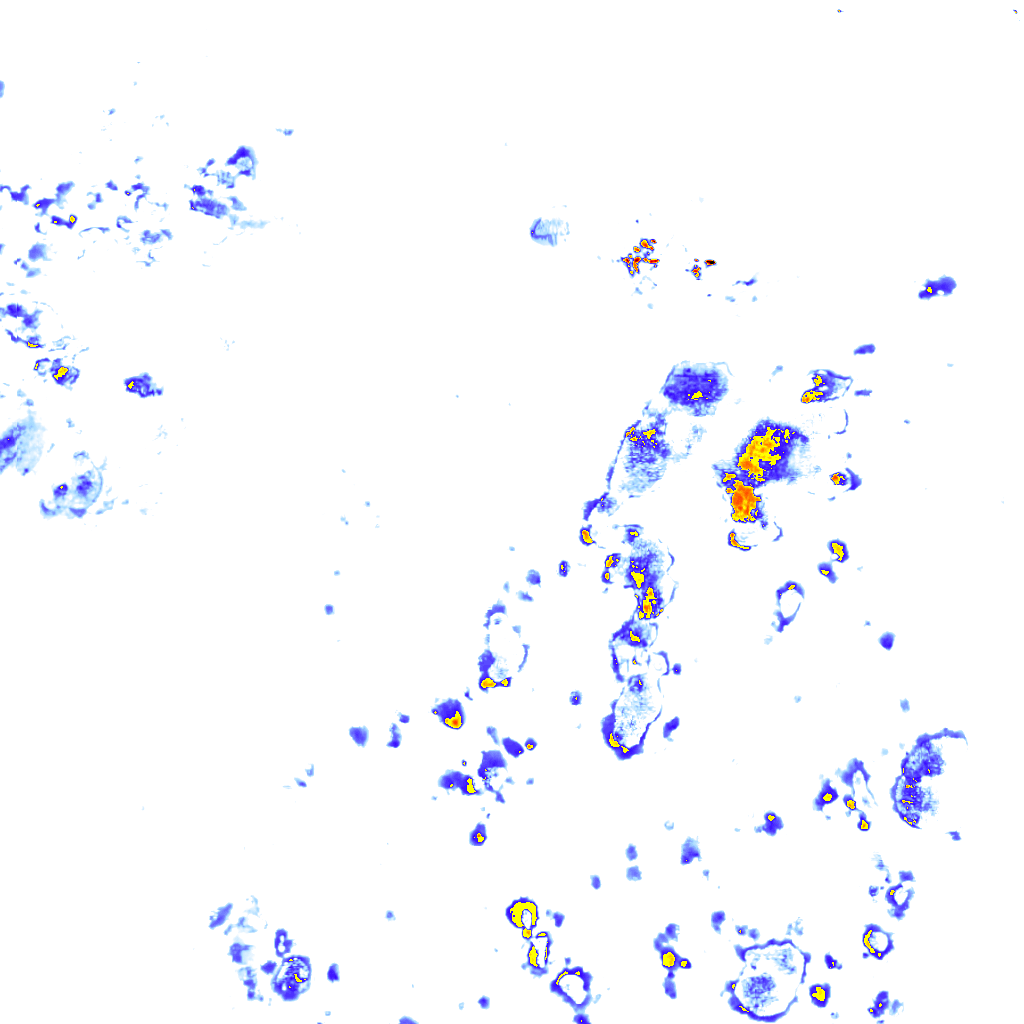 rainLayer