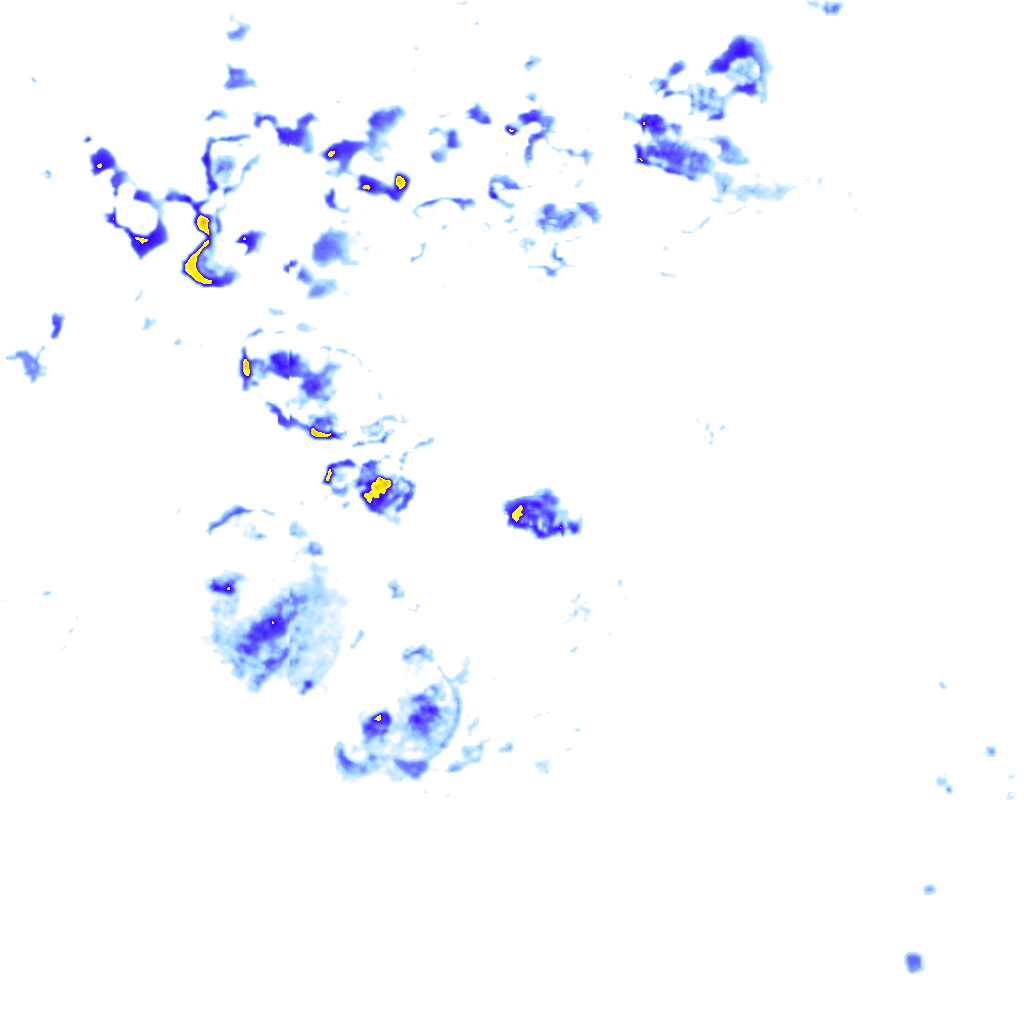 rainLayer