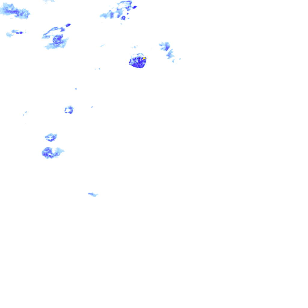 rainLayer