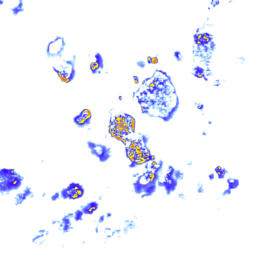 rainLayer