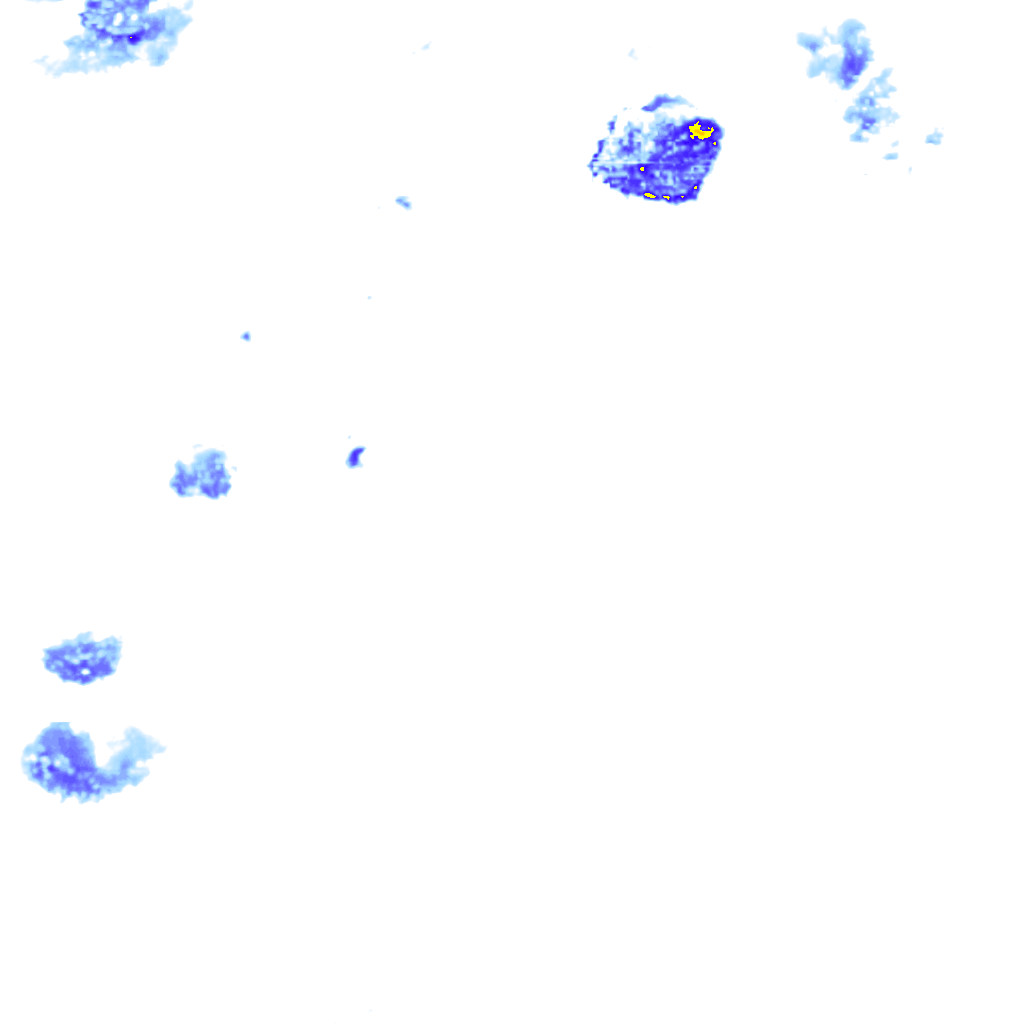 rainLayer