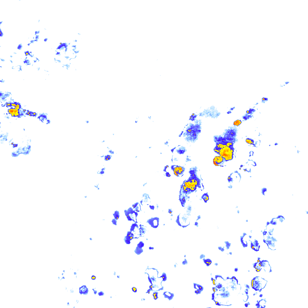 rainLayer