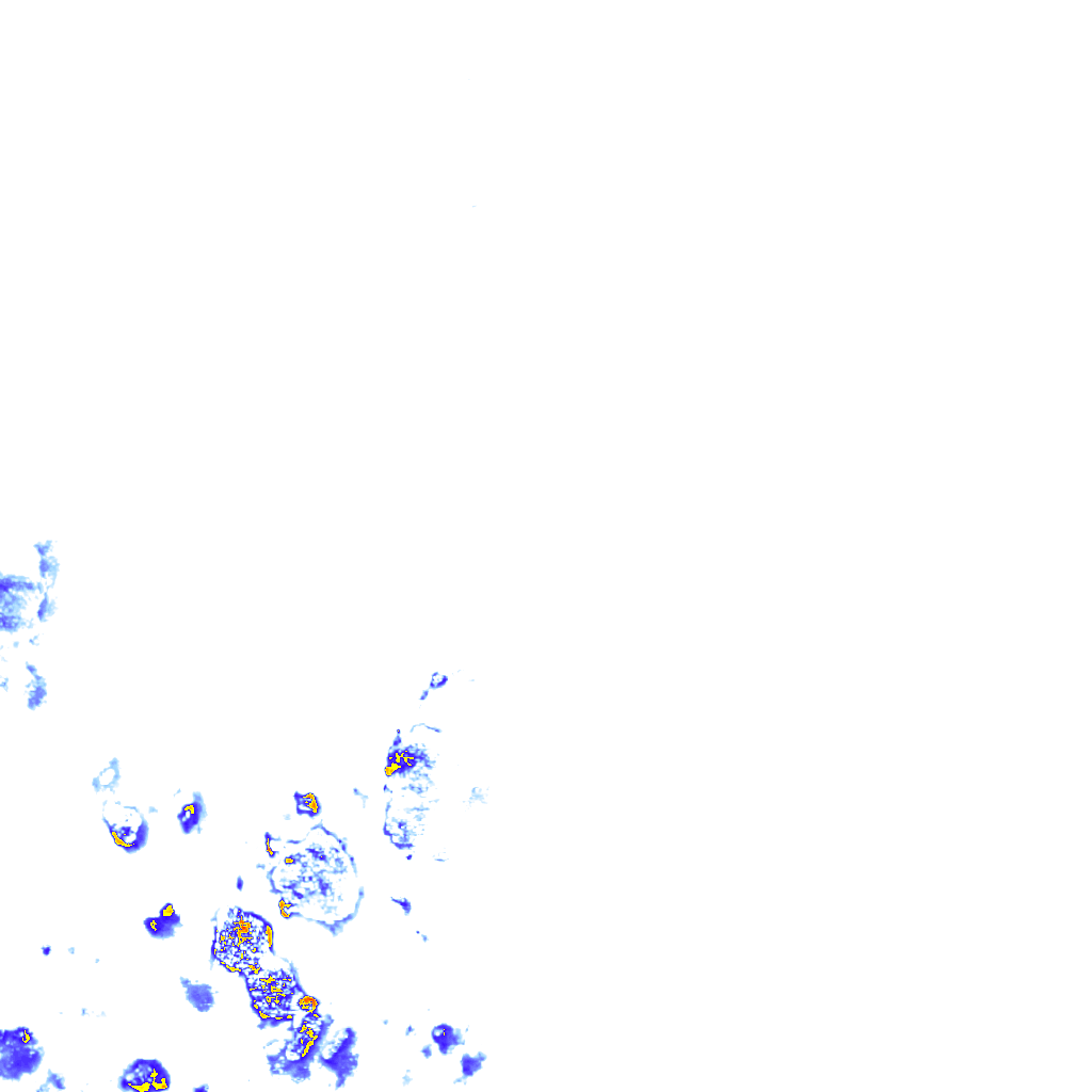 rainLayer