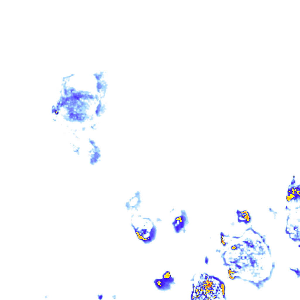 rainLayer