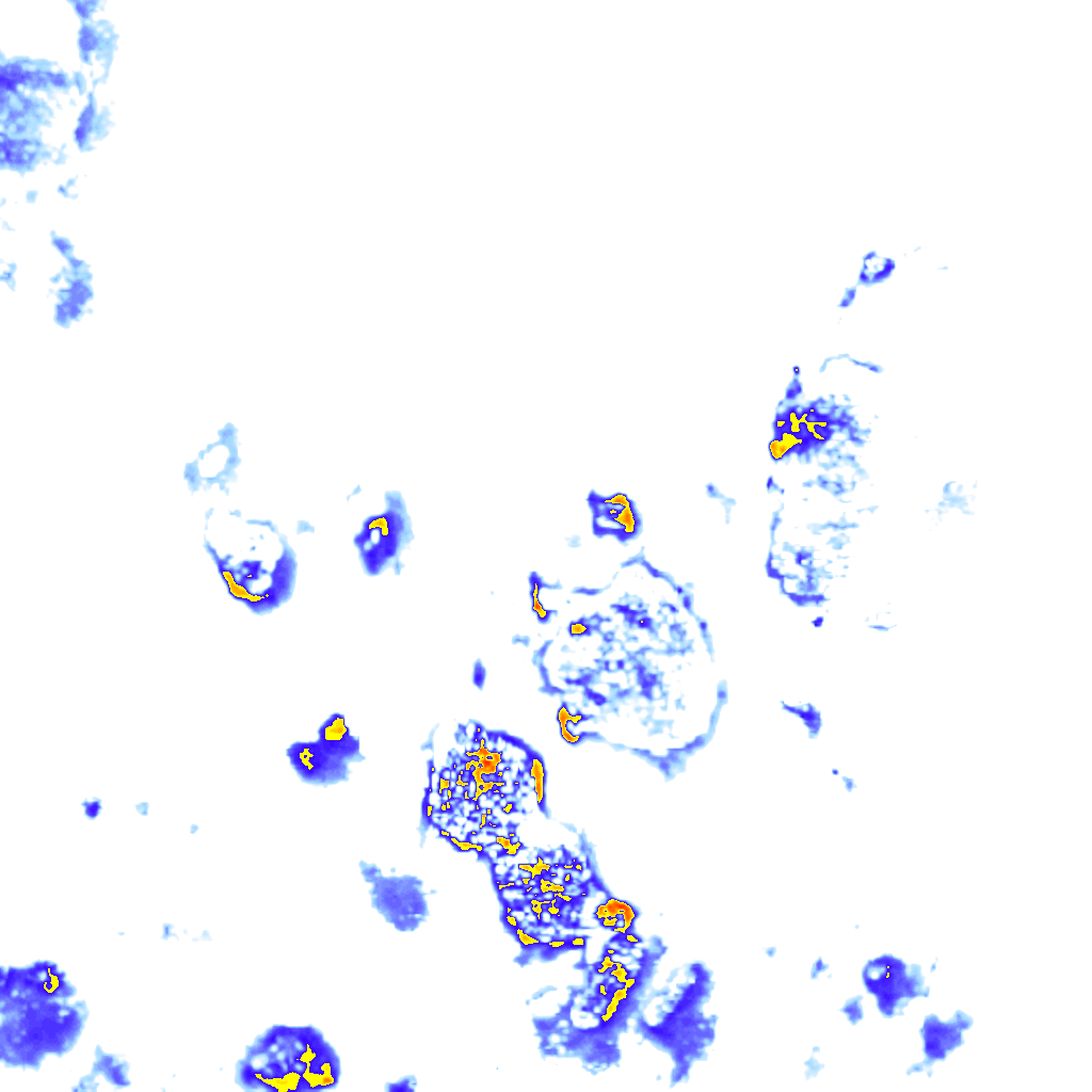 rainLayer