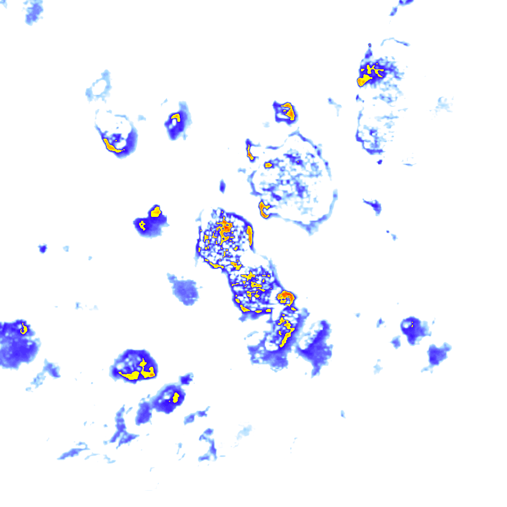 rainLayer