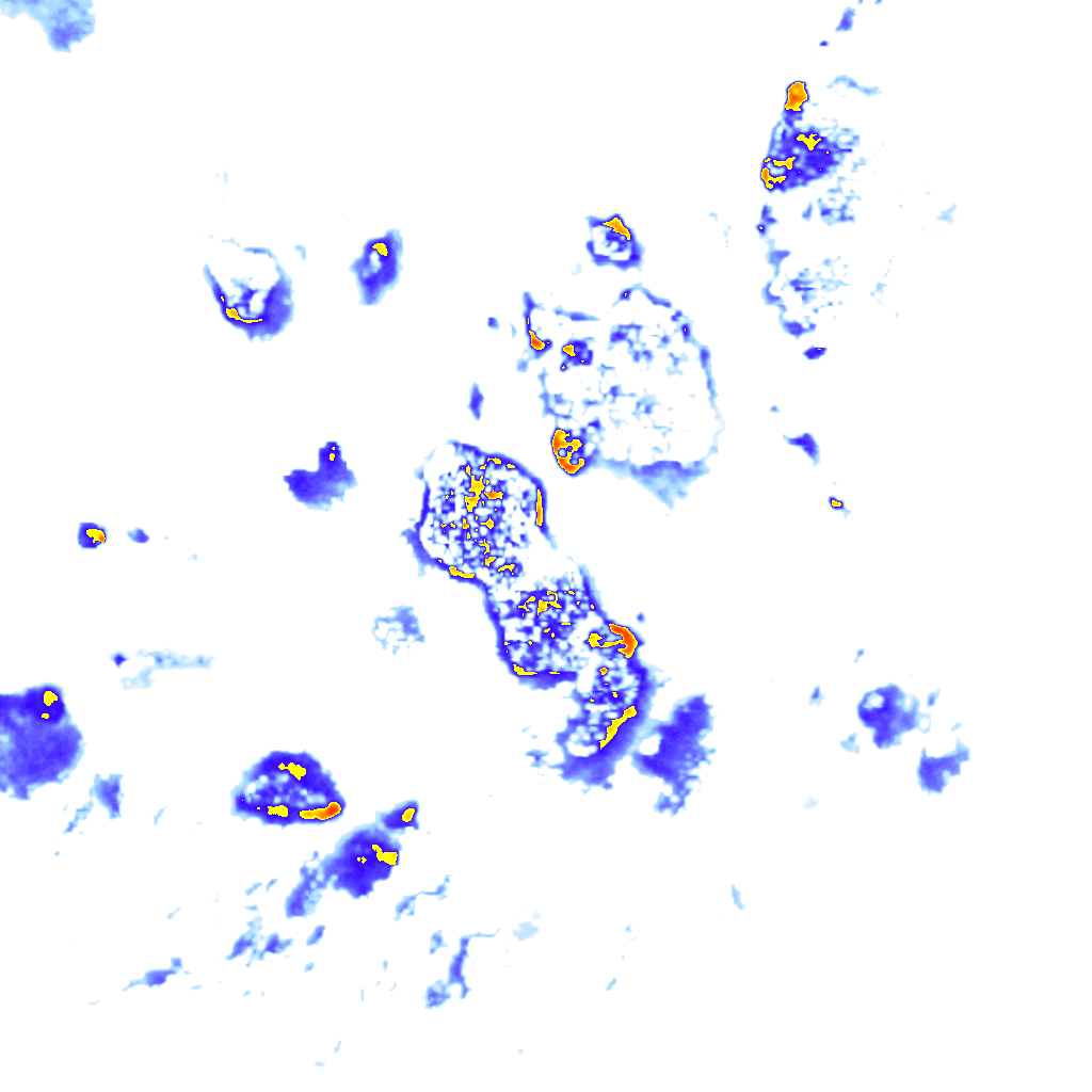 rainLayer