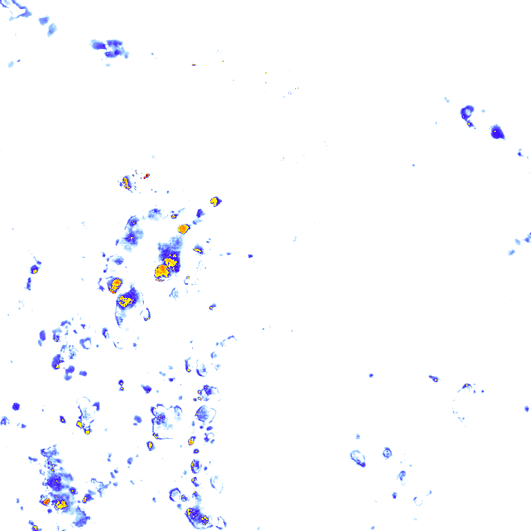 rainLayer