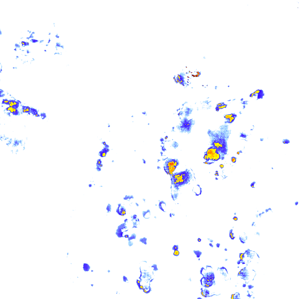 rainLayer