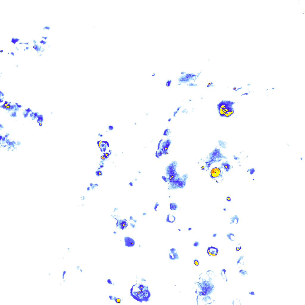 rainLayer
