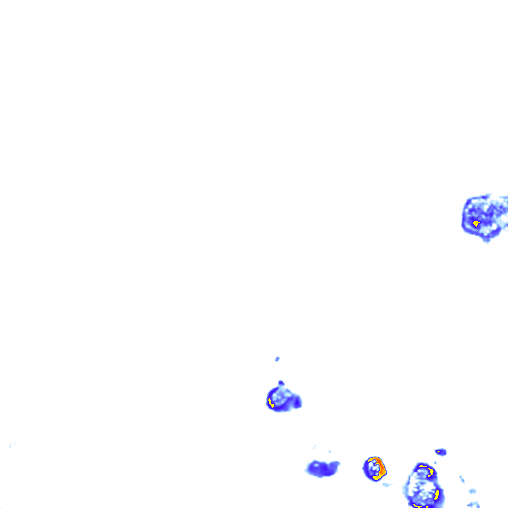 rainLayer