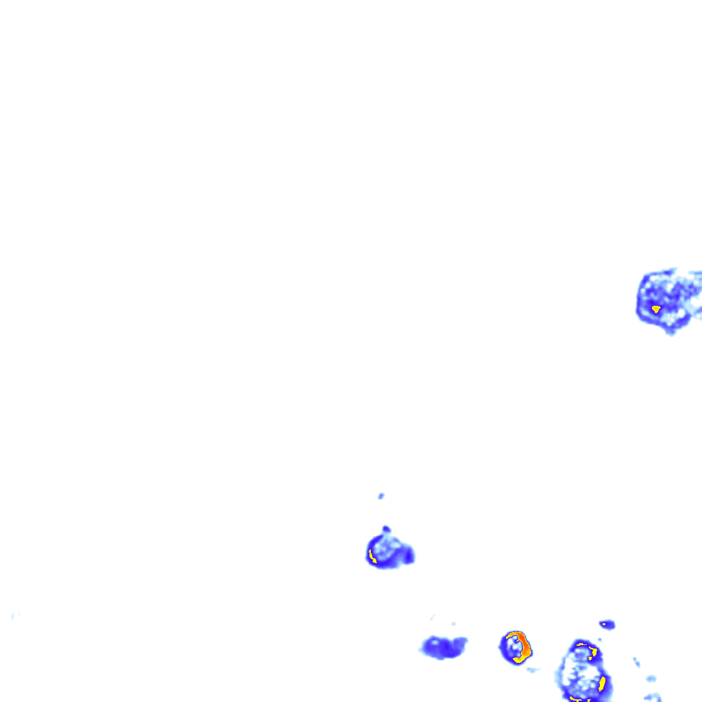 rainLayer
