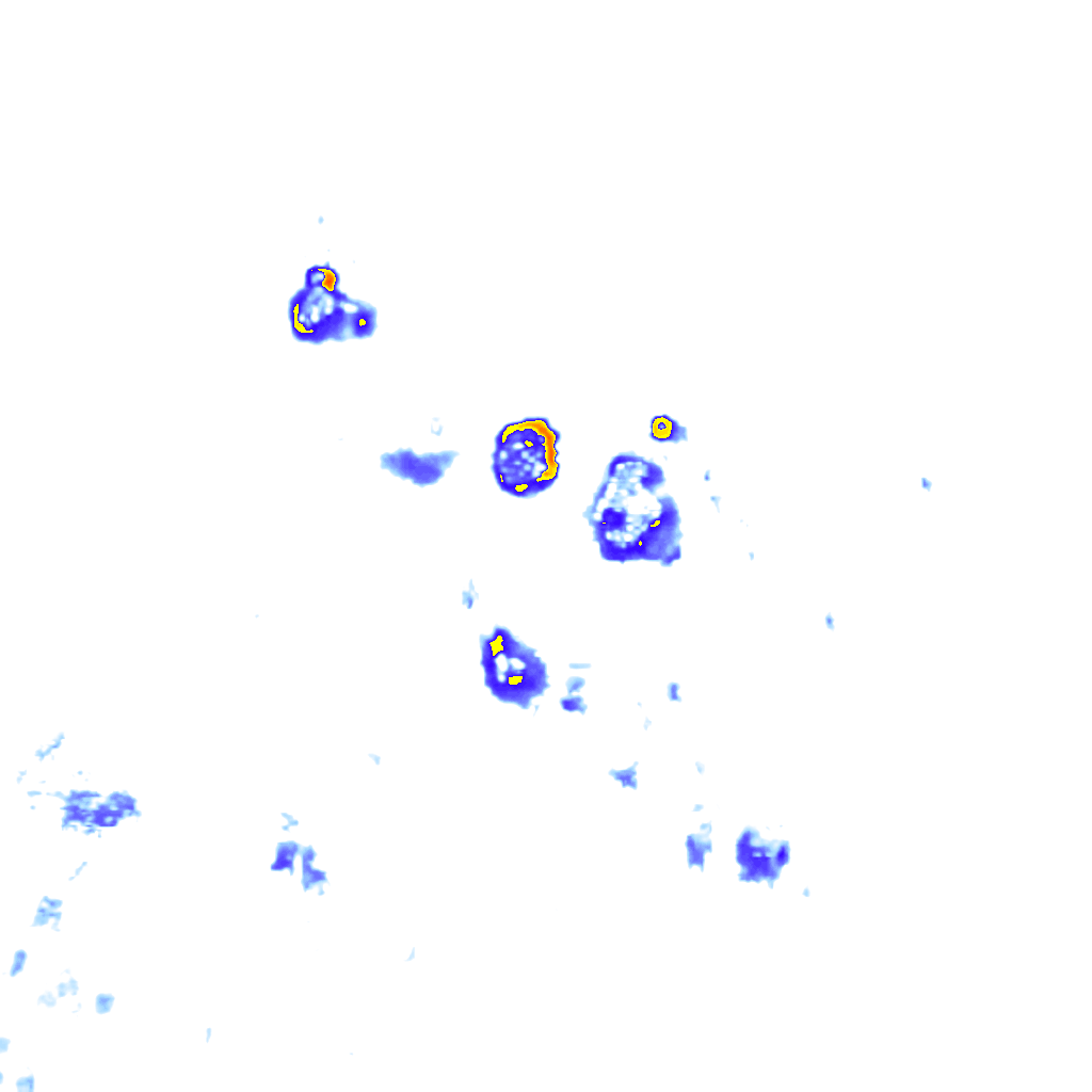 Image Layer