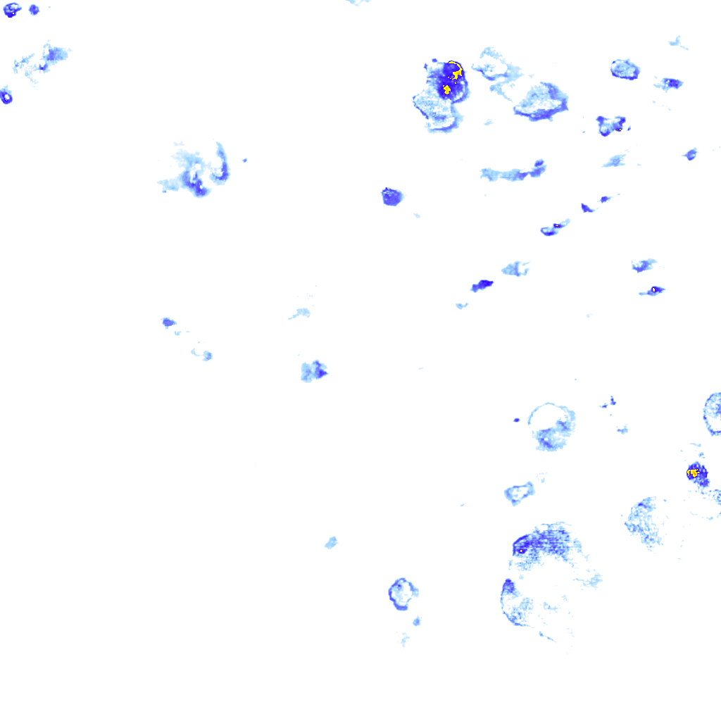 rainLayer