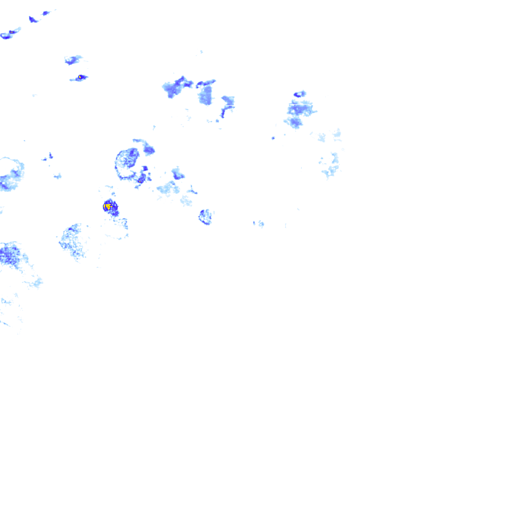 rainLayer