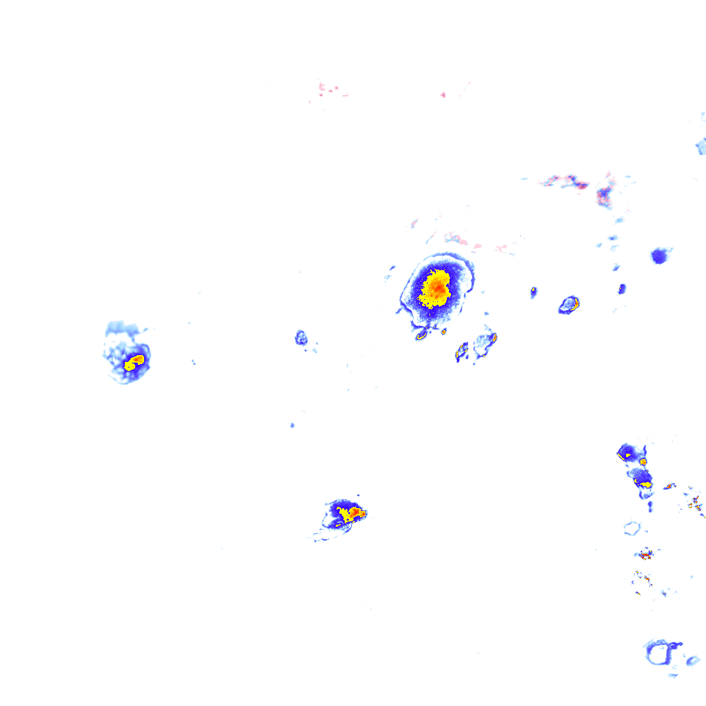 Image Layer