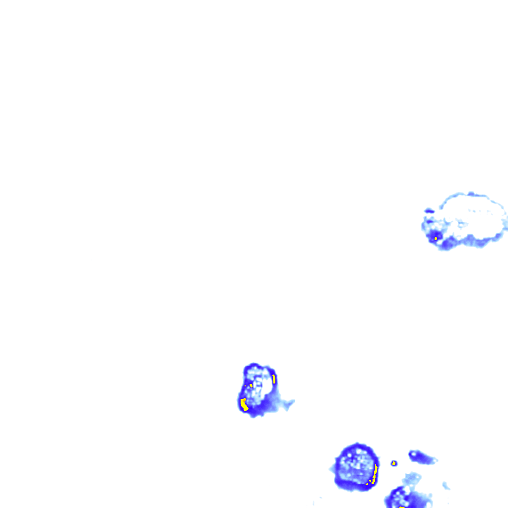 rainLayer