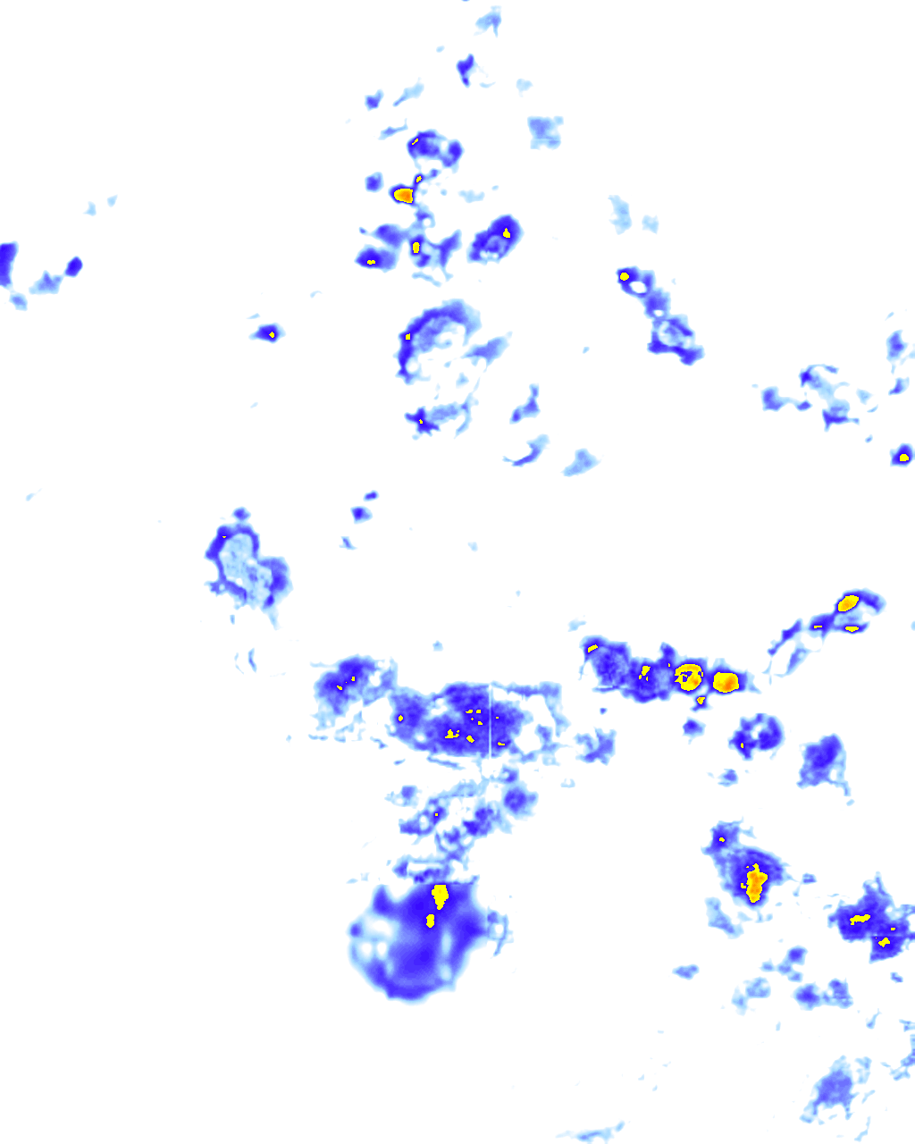 rainLayer