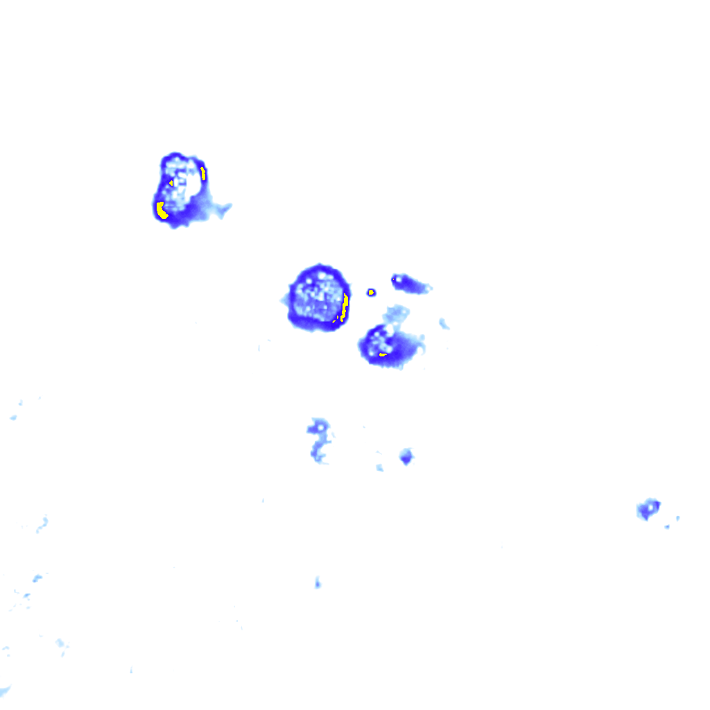Image Layer