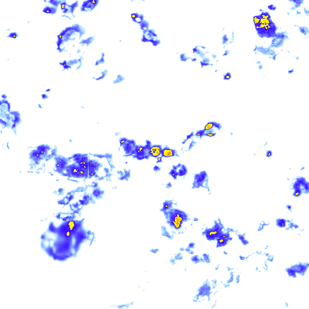 rainLayer