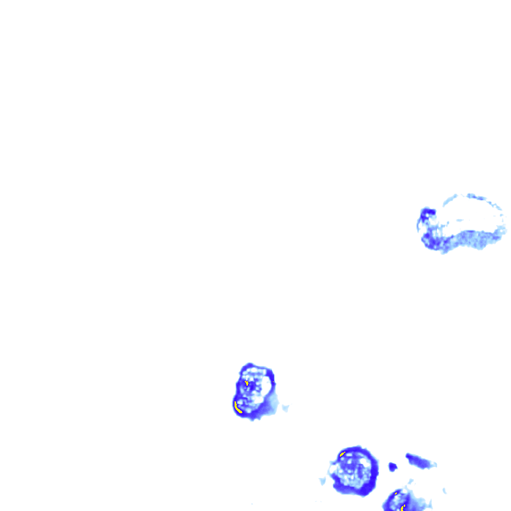 rainLayer