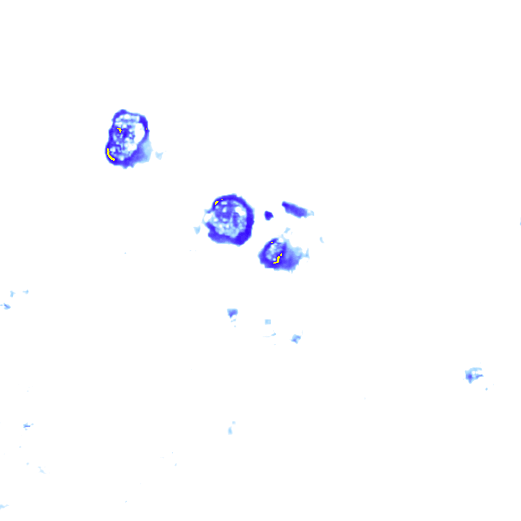 rainLayer