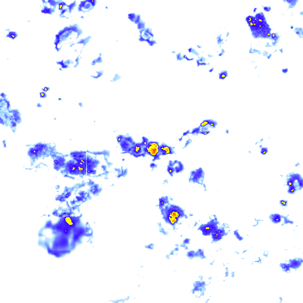 rainLayer