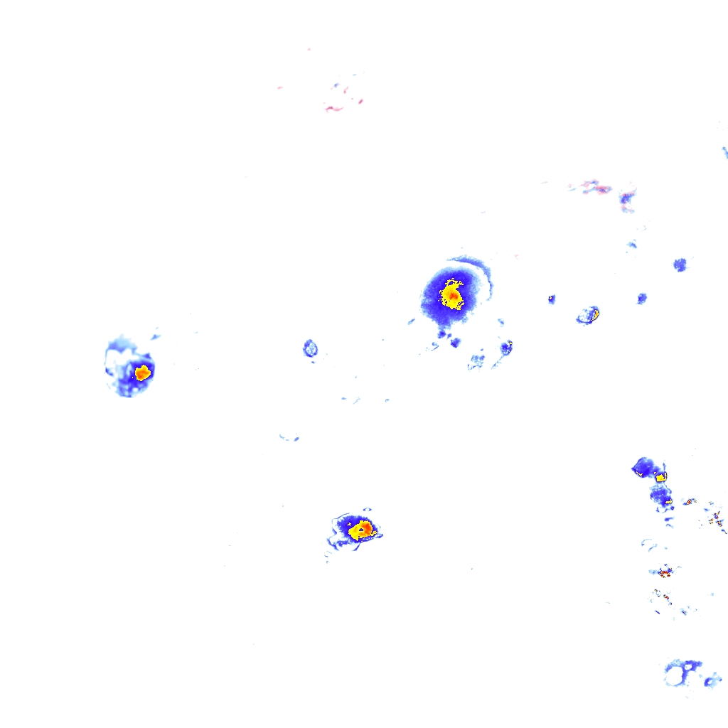 Image Layer