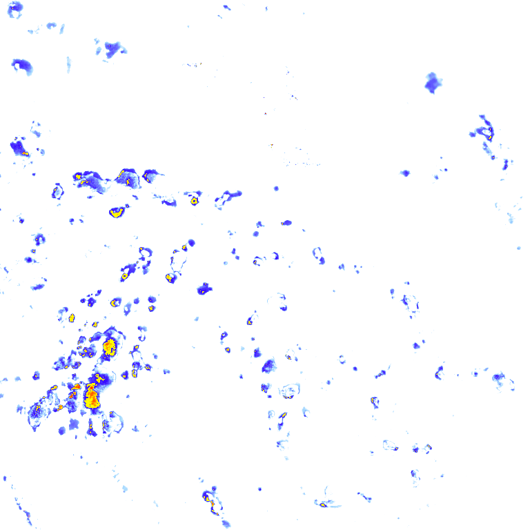 rainLayer