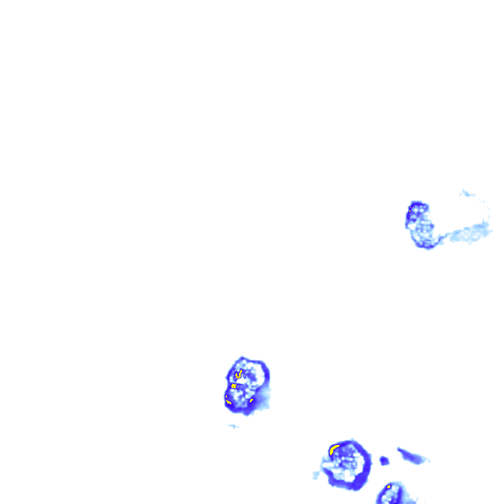 rainLayer