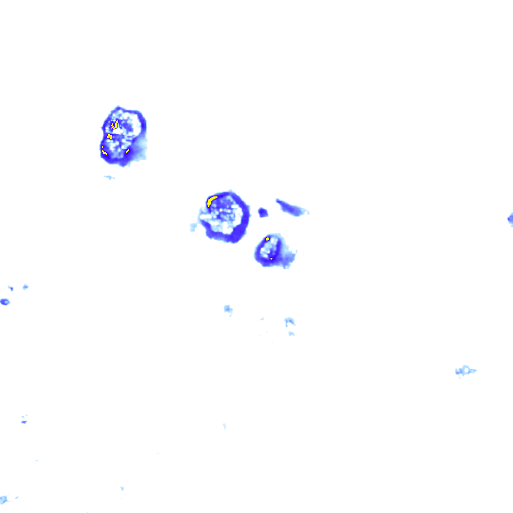 rainLayer