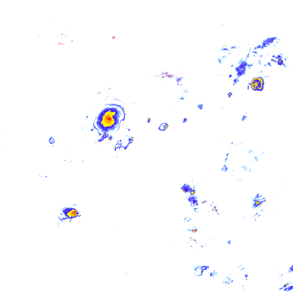 Image Layer