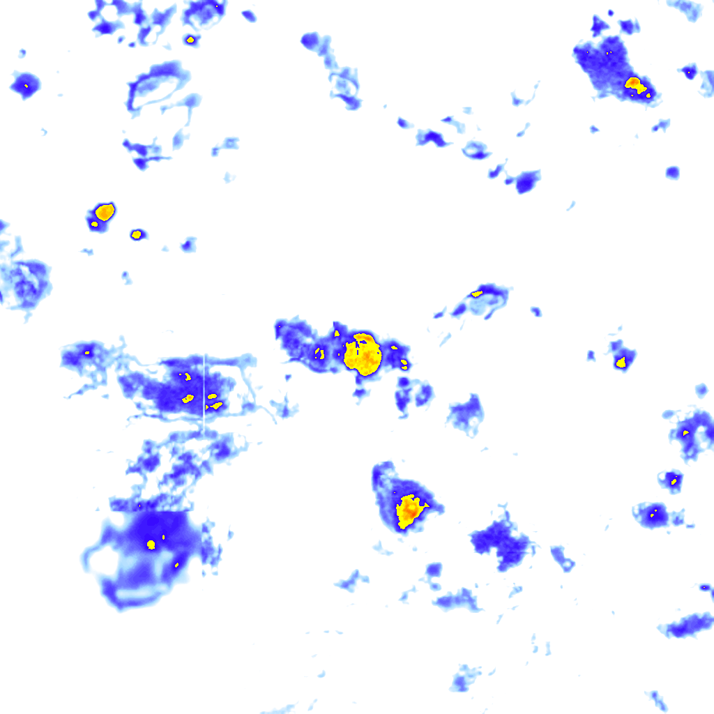 rainLayer
