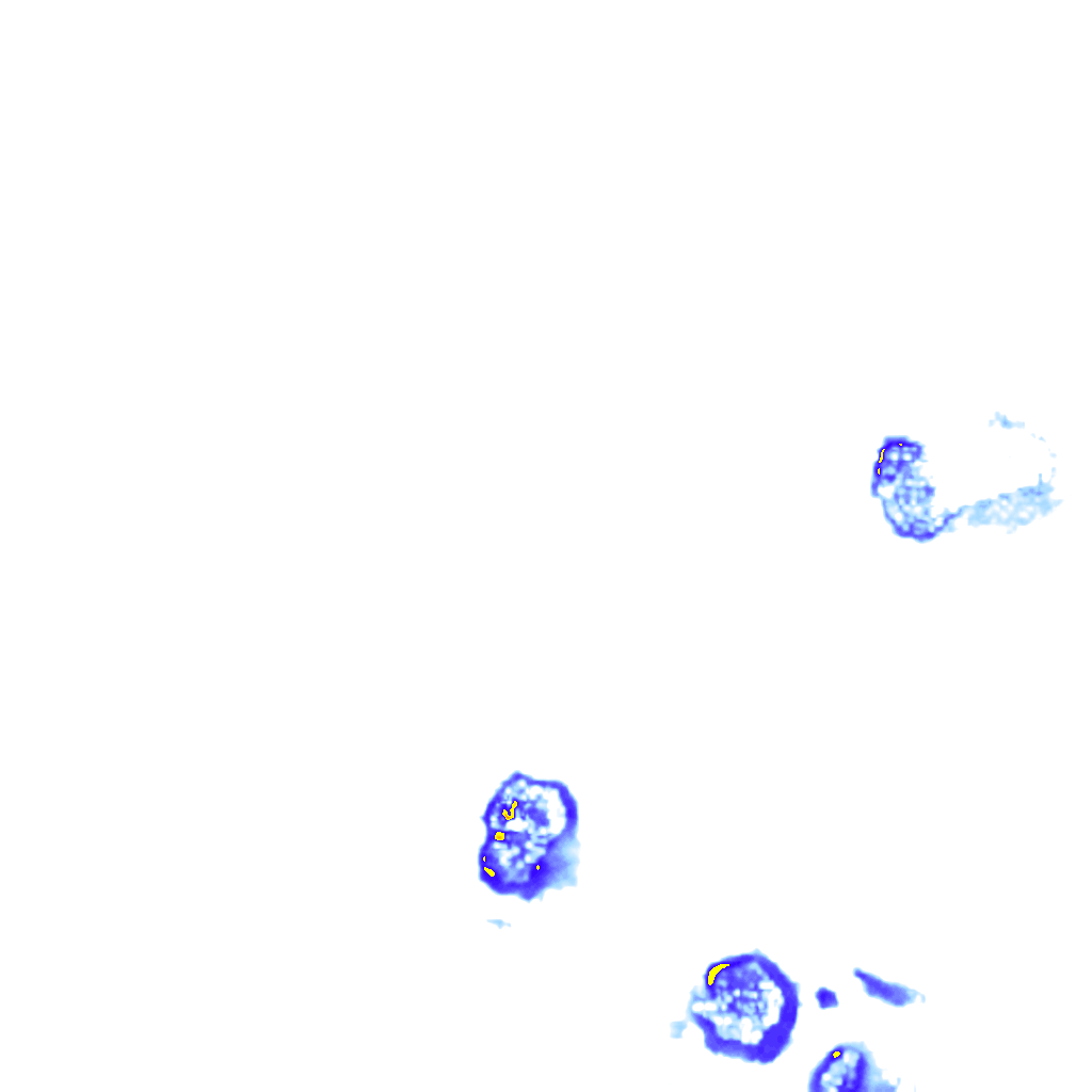 rainLayer