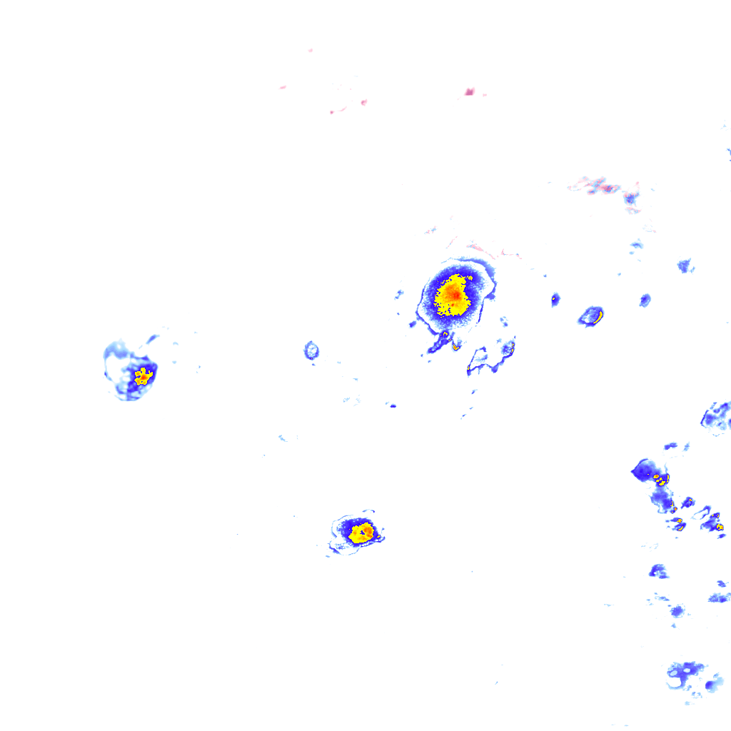 Image Layer