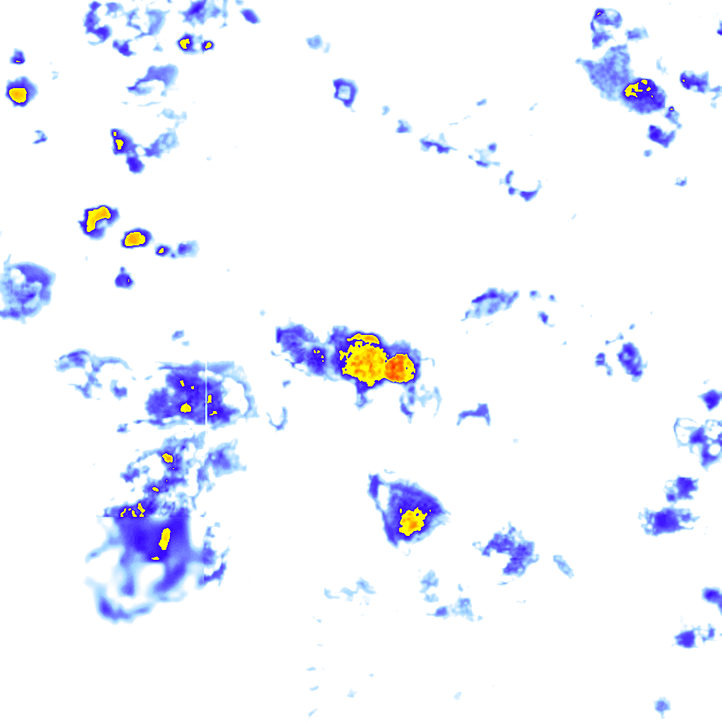 rainLayer