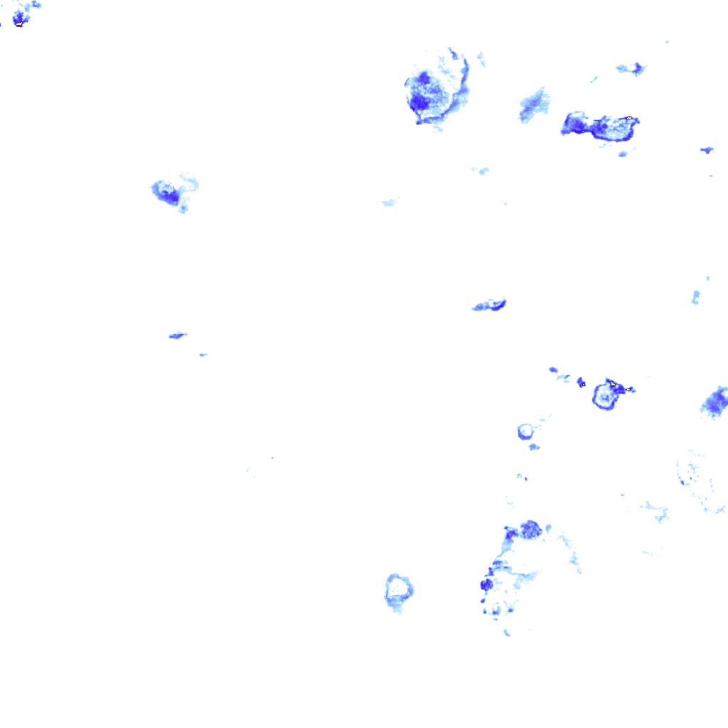 rainLayer