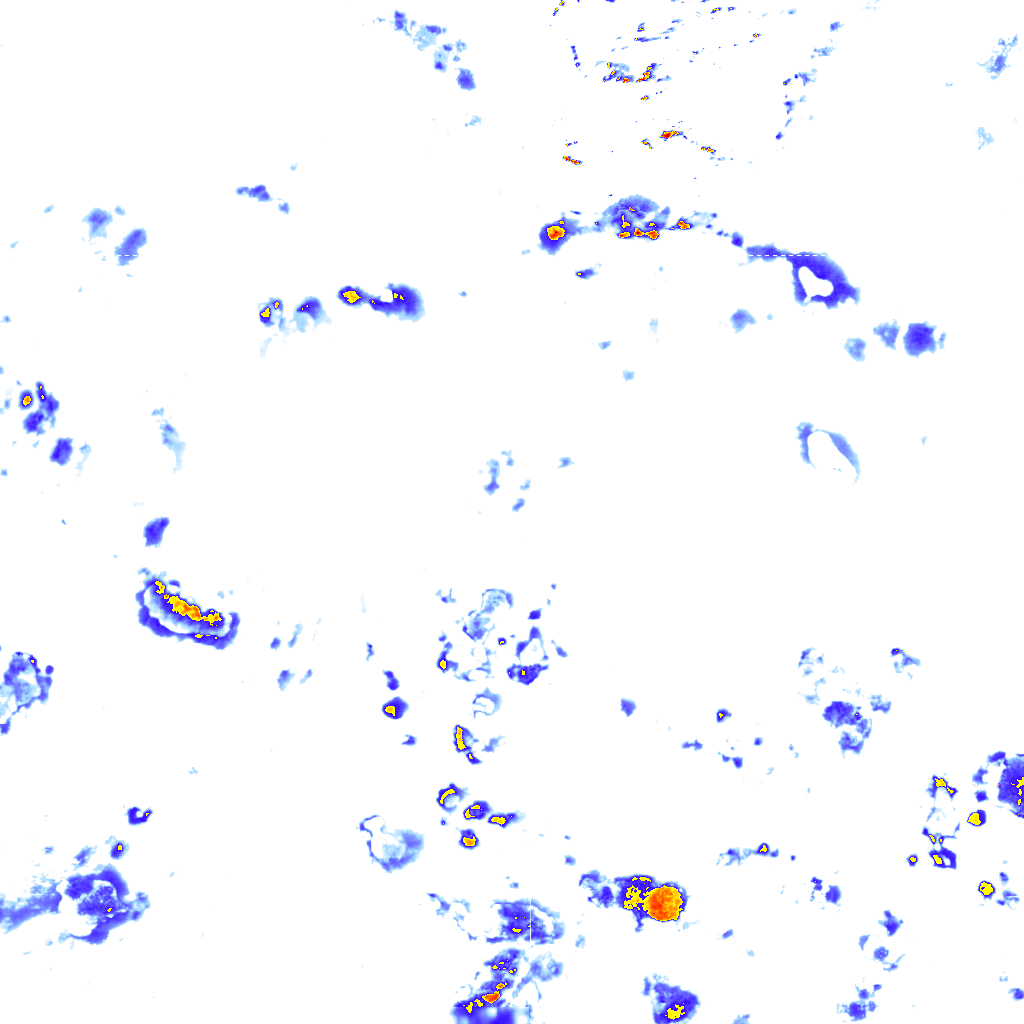 Image Layer