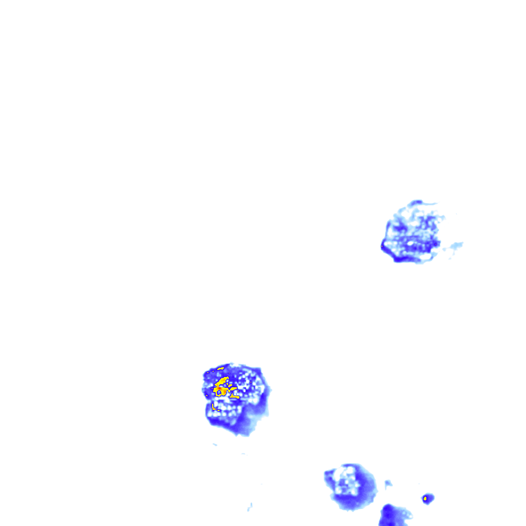 Image Layer