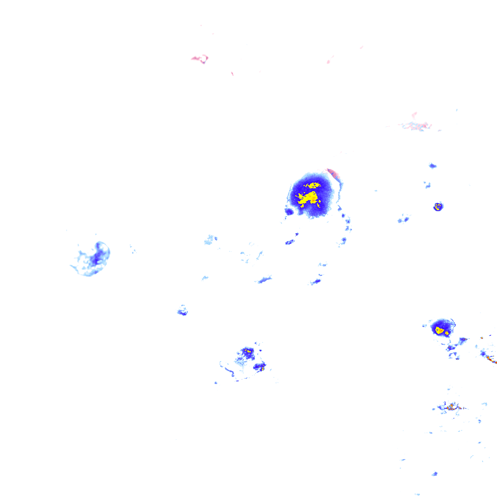 rainLayer