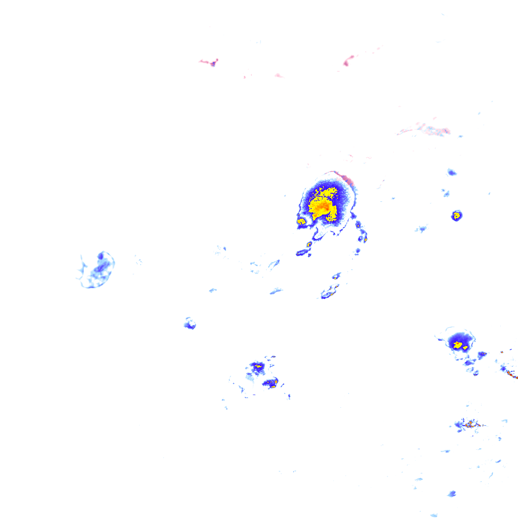 rainLayer