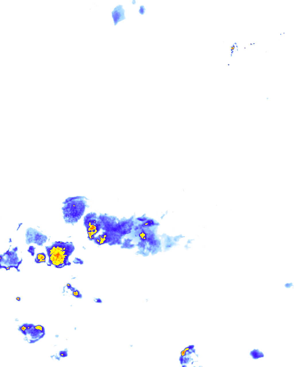 rainLayer
