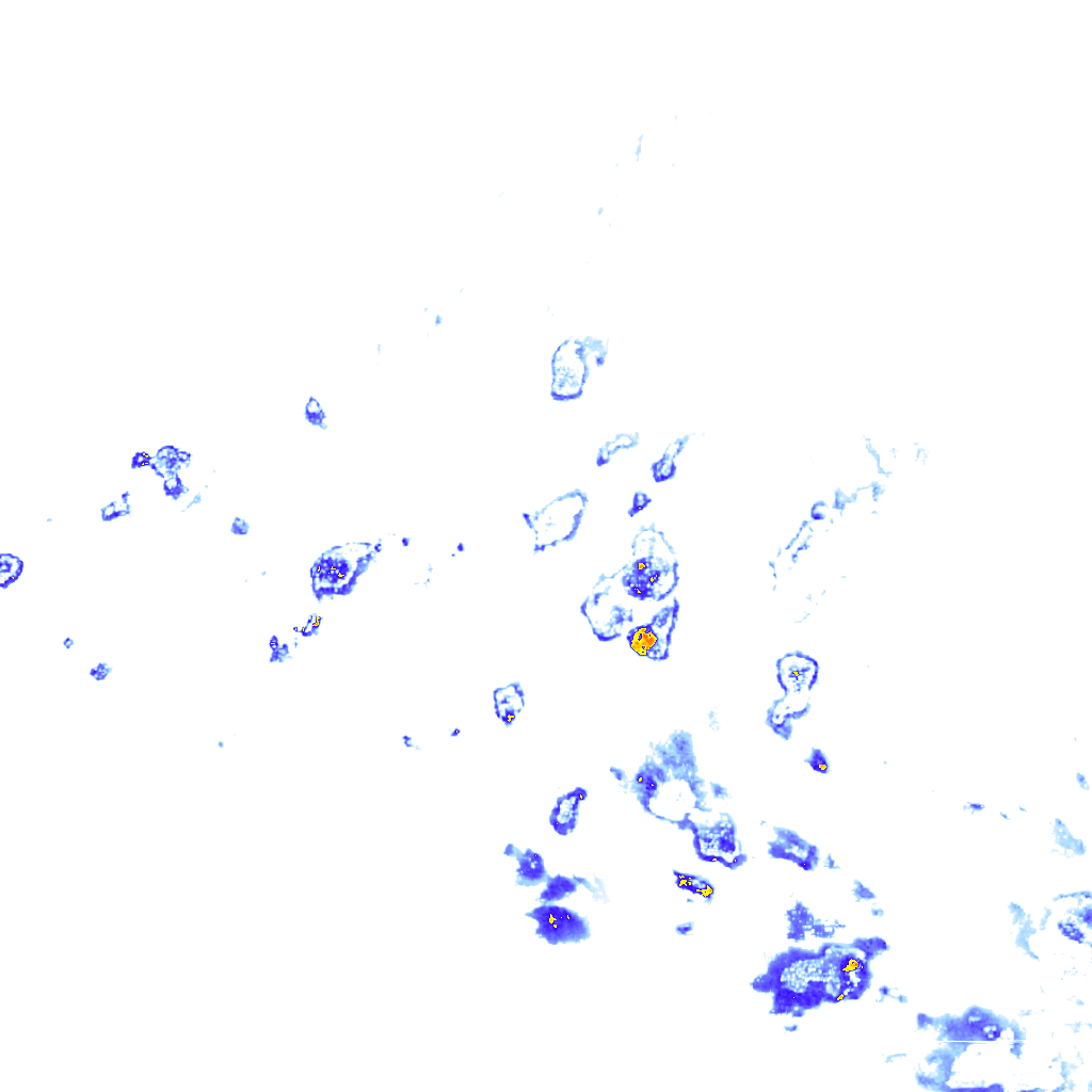 Image Layer