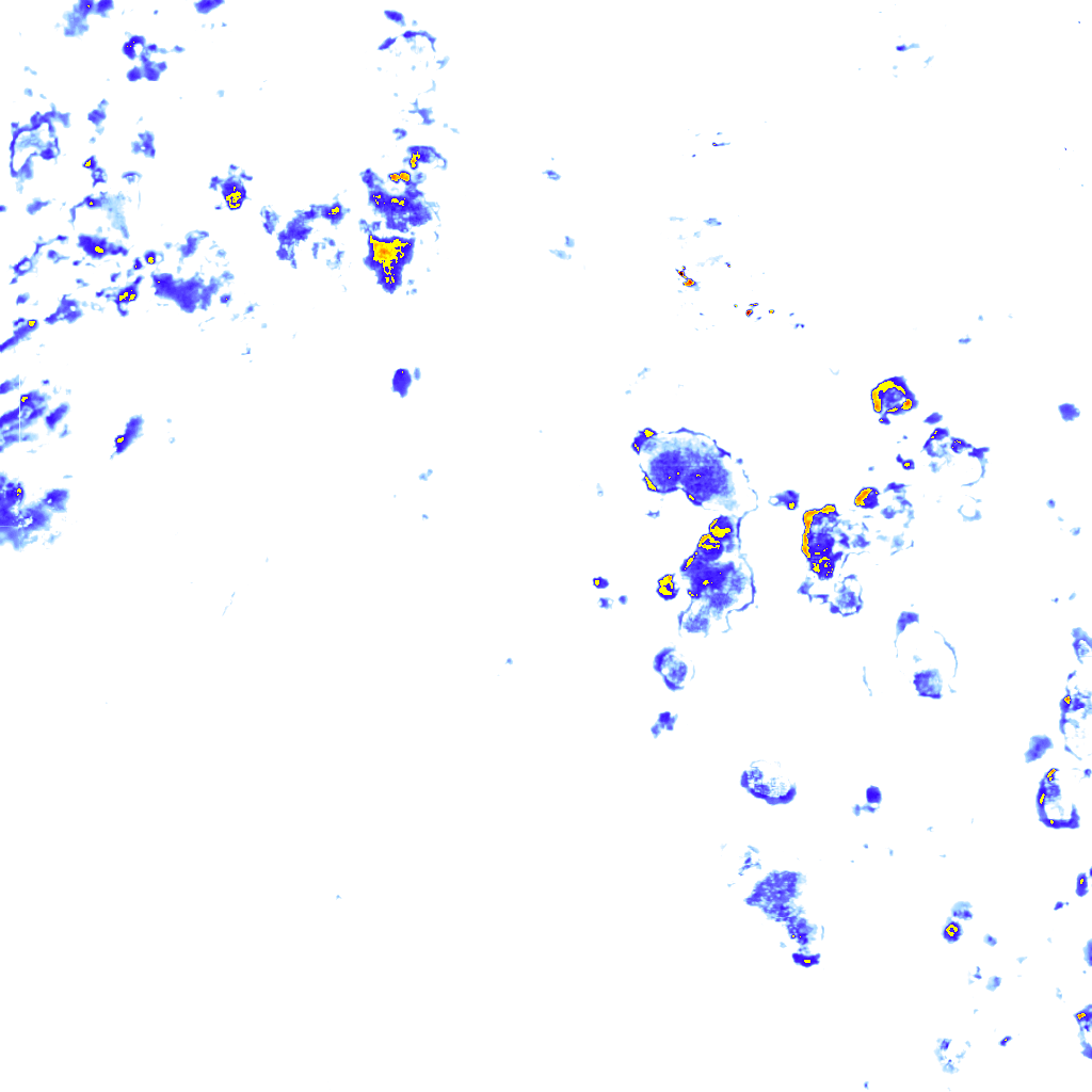 rainLayer