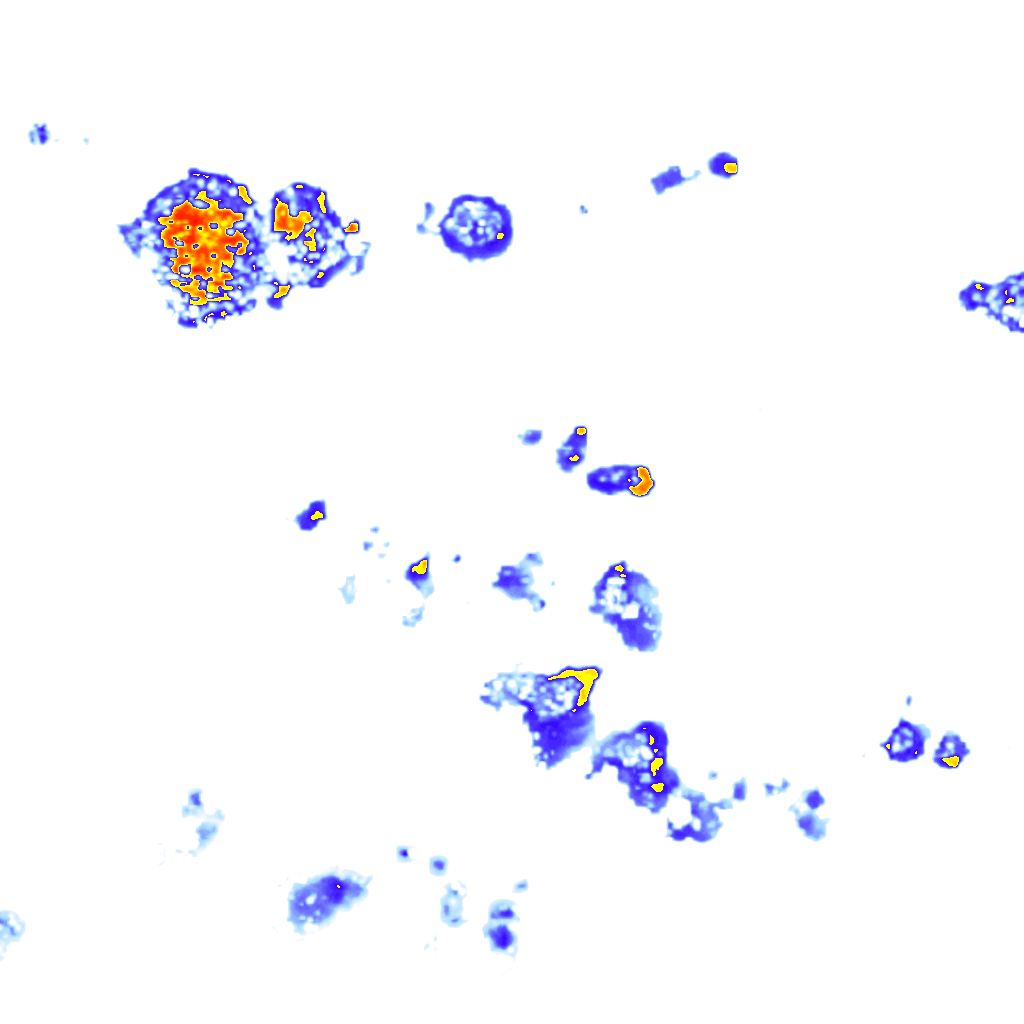Image Layer