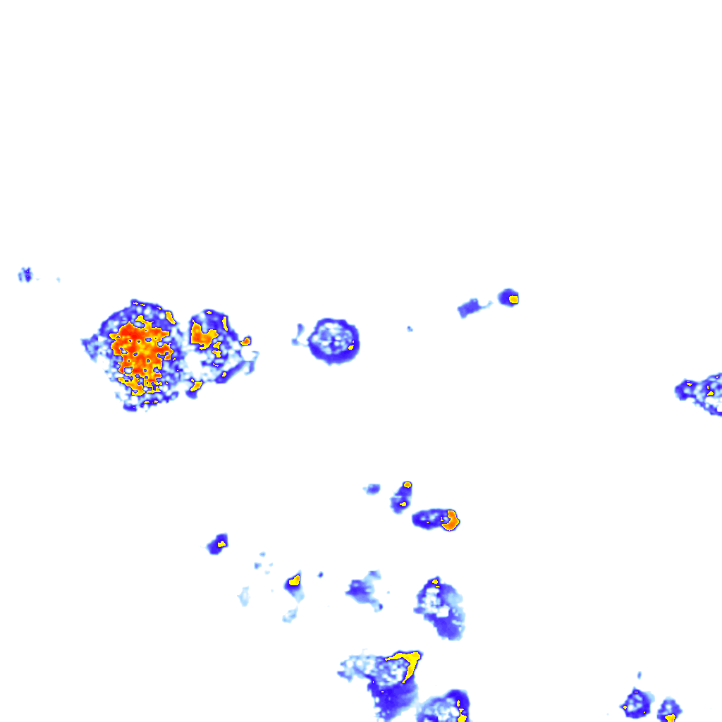 Image Layer